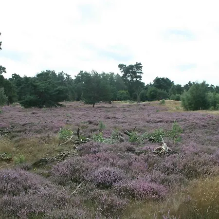 Welnessbungalow Goudvink