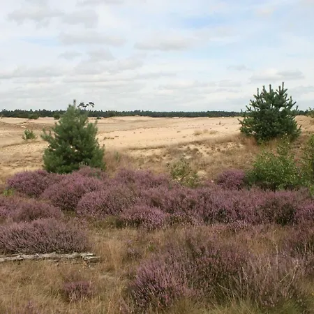 Welnessbungalow Goudvink *